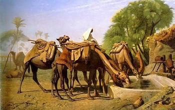 Arab or Arabic people and life. Orientalism oil paintings  468, unknow artist
